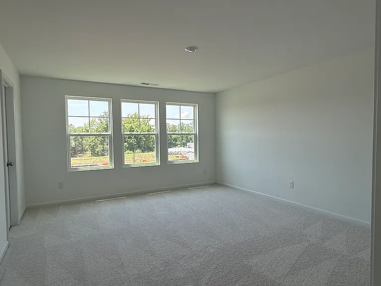 711 Painted Daisy Ln — Photo 5