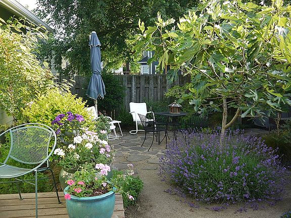 Back yard garden