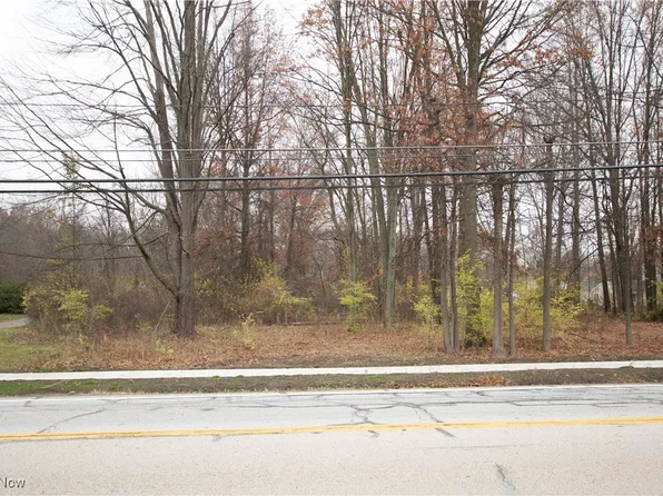 Schady Rd, Olmsted Falls, OH 44138