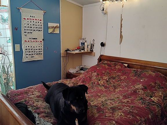 Master bedroom with my Rotty