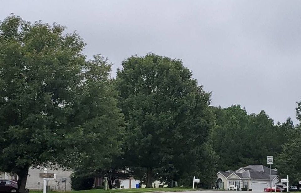 2nd image of 7075 Magnolia Ln