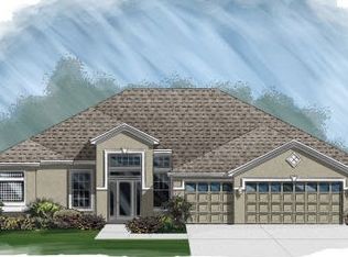 20839 Siena Lake Rd, Land O Lakes, FL 34638