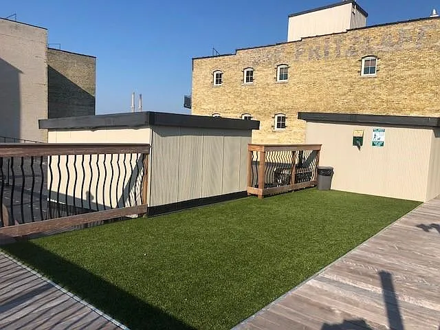 K9 grass
