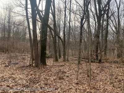 0 Kimberly Ct, Onondaga, MI, 49264