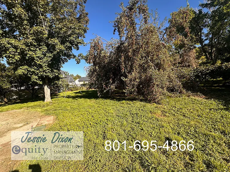 245 Briarwood Dr — Photo 31