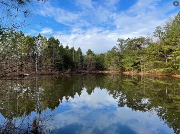 0 Liberty Church Rd NE Tract 1, Ranger, GA 30734