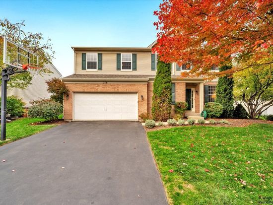 316 Gregory M Sears Dr, Gilberts, IL 60136