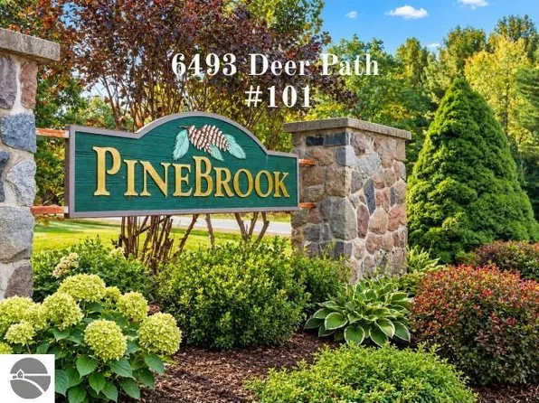 6493 Deer Path #101, Bellaire, MI 49615