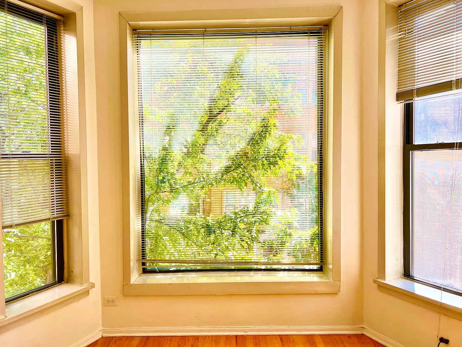 1 bed, 750 sqft, $2,000 — Photo 3