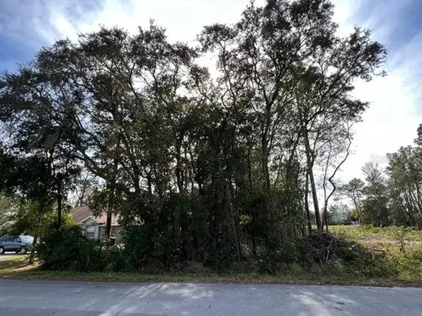 Bahia Ter Lot 30, Ocala, FL 34472