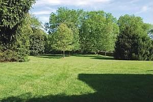 3rd image of 12044 Broadwood Dr