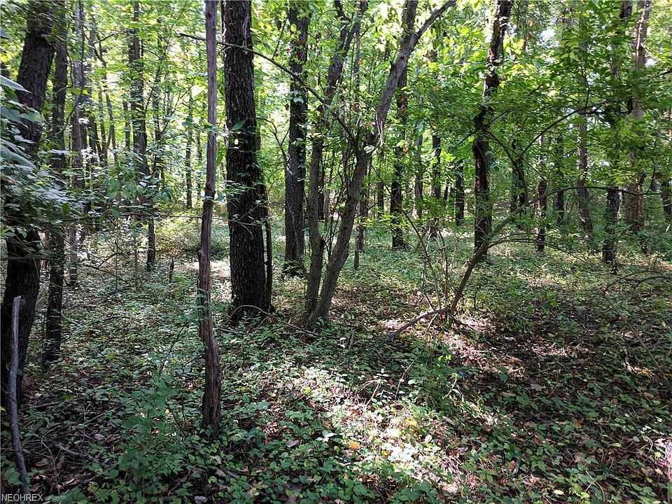 2nd image of White Pond Dr