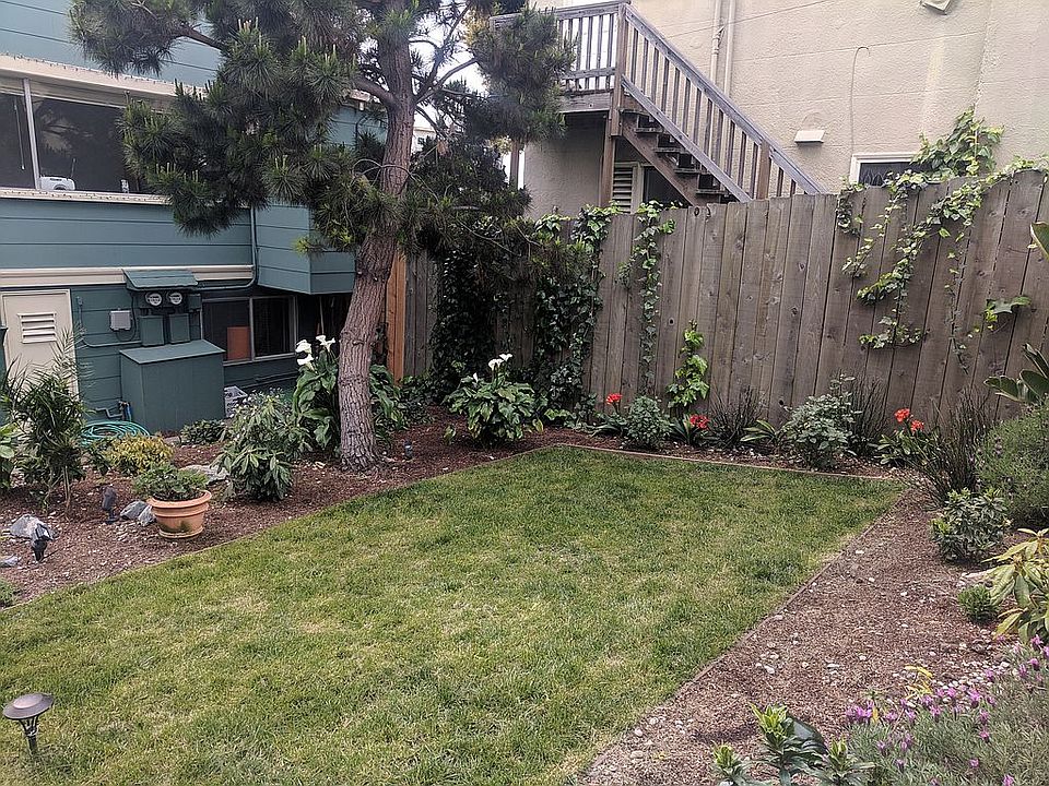 Front yard