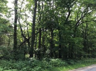 V L S Payne Lake Rd, Wayland, MI 49348