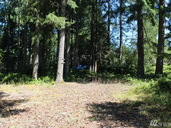 110 E Hammersley Pl, Shelton, WA 98584