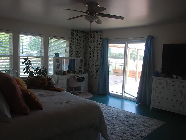 Master Bedroom /South Facing Door