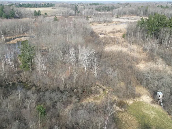 23951 80th Ave, Evart, MI 49631