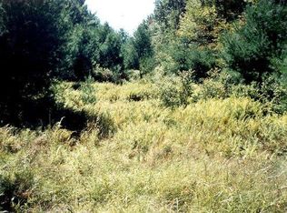 1 French Clearing Rd, Forestburgh, NY 12777