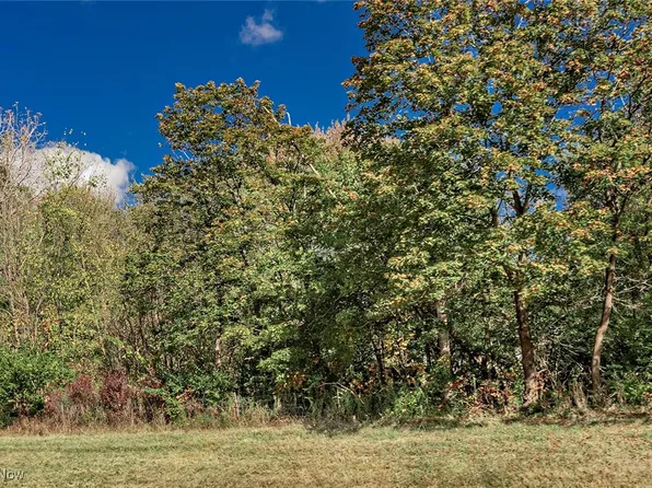 Schady Rd, Olmsted Falls, OH 44138