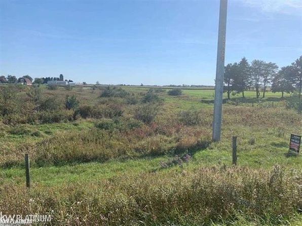 0 Peck Rd, Brown City, MI 48416