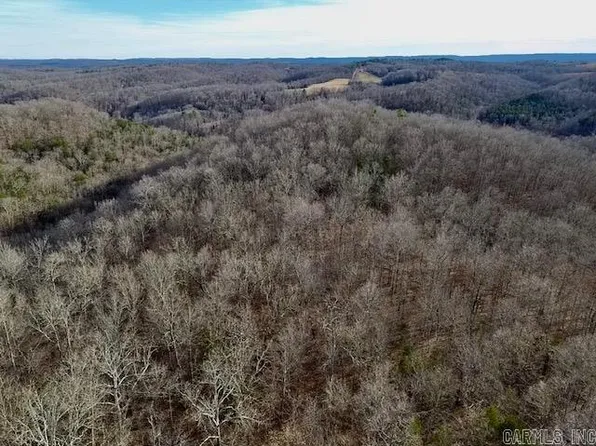 512 Mc #5028, Saint Joe, AR 72675