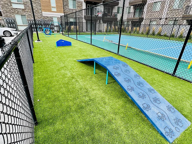 Your Dog Will Live Their Best Life Here
