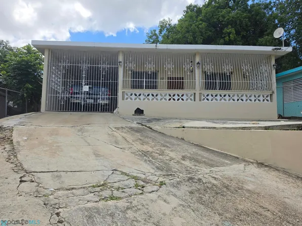 Carr 103 Callejon Angel L Carlo, Cabo Rojo, PR 00623
