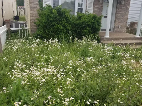 2304 Charles Ave, Dunbar, WV 25064