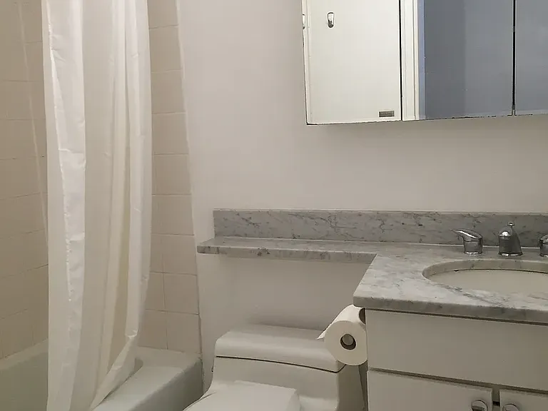 393 W 49th St #5I — Photo 4