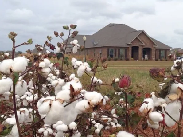 9609 Camberwell Dr, Daphne, AL 36526