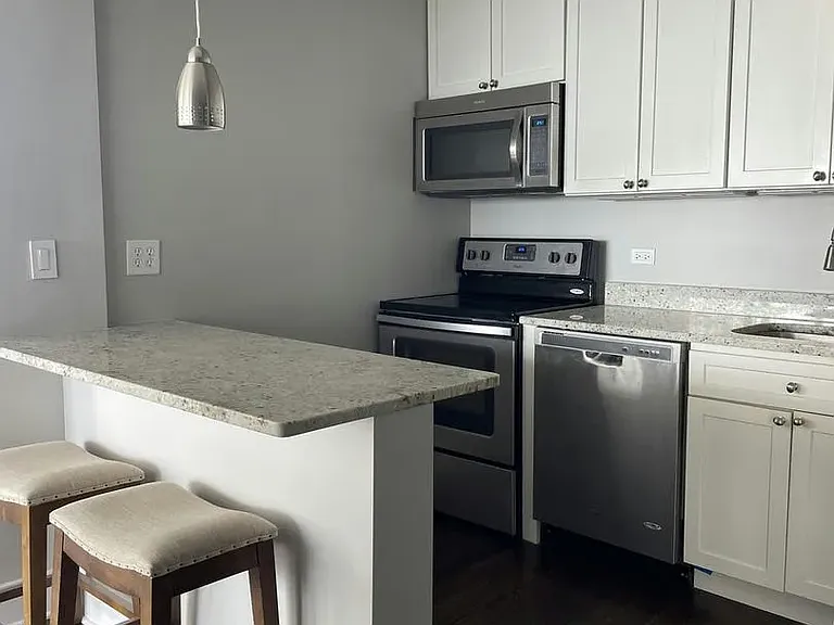 1455 N Sandburg Ter #1609 — Photo 3
