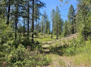 20X Lynx Creek Rd, Inchelium, WA 99138