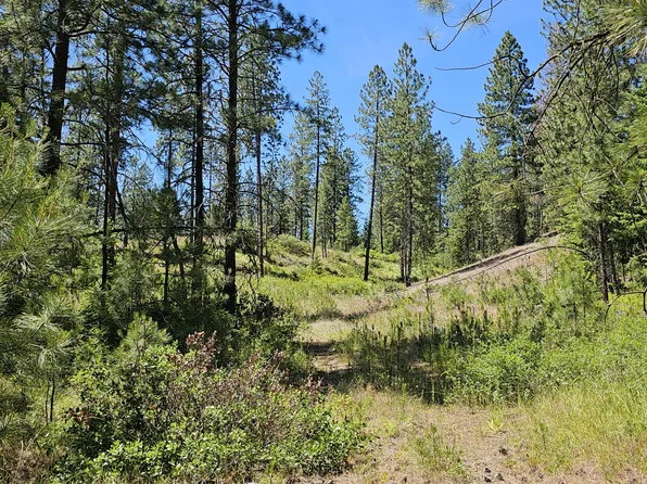 20X Lynx Creek Rd, Inchelium, WA 99138