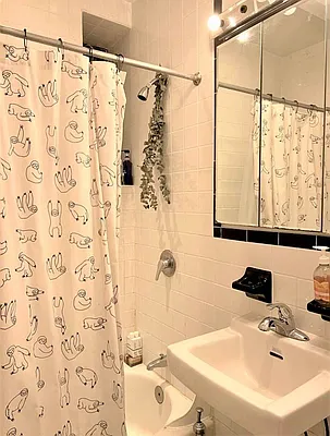 Rented by Corcoran | media 14