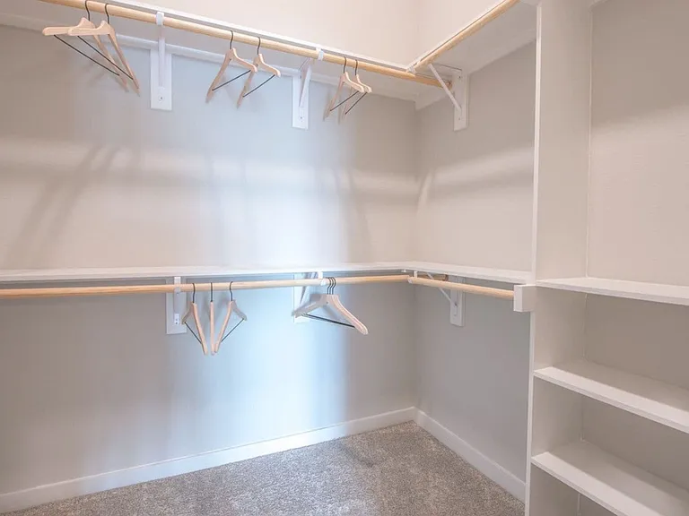 Large Walk-in Closet