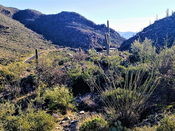 3rd image of 14871 N Sonora Vista Canyon Pl