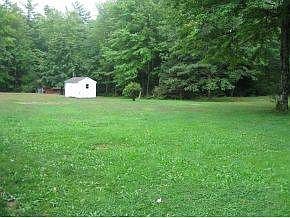 back yard