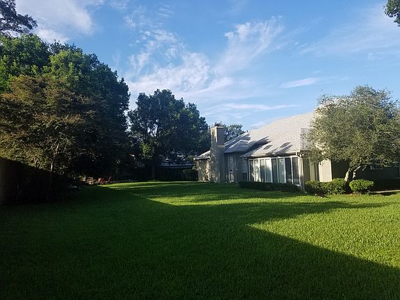 Back yard