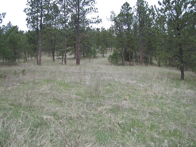 1st image of N Of Newcastle Tract