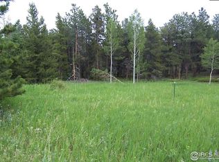 167 Jed Smith Rd, Ward, CO 80481