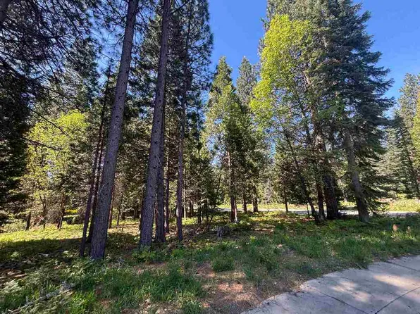 LOT 44 Panther Meadow Dr, McCloud, CA 96057