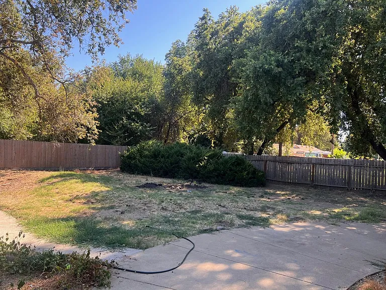 3257 Seedling Dr — Photo 19