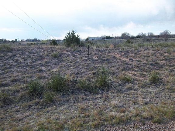 Wild Plum Lot 03