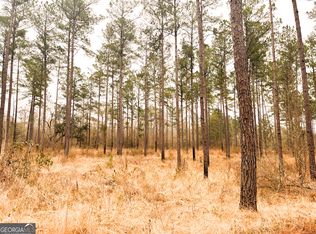 0 Newton Rd, Bainbridge, GA 39817