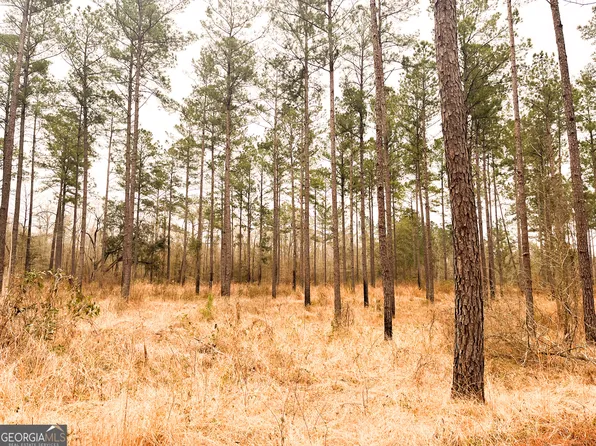 0 Newton Rd, Bainbridge, GA 39817