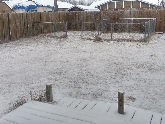 Backyard (last winter)