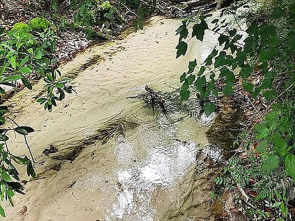 3rd image of 19157 Keller Rd