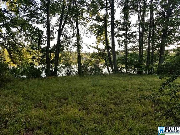 4th image of Lake Wood Dr