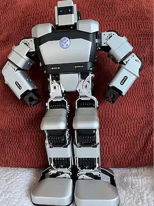 Professor Li Humanoid Robot welcome you to our sweet home100!