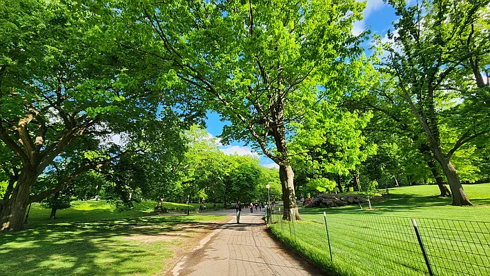 Rented by Bond New York | media 1